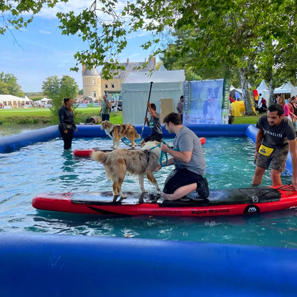 Hot Sale Large PVC Pet Airblow Water Pool Indoor Outdoor Dog Inflatable Swimming Pool for Summer