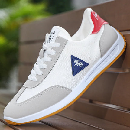 Men's Breathable Mesh Sports Shoes Lightweight Comfortable Soft Bottom Casual Shoes Versatile Footwear for All Seasons
