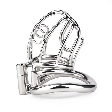 FRRK PA Piercing Male Sissies Chastity Cage Device Stainless Steel Penis Lock CBT Adult Games Bondage Abstinence Restrain Device