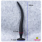 M 3.1cm