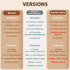Manual version