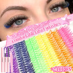 12 rows color