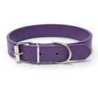 Purple / XXS (1.0)