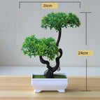 jixiangshu green