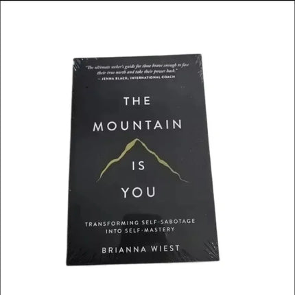 New The Mountain Is You: Transforming Self-Sabotage Into Self-mastery English Books Birthday Gifts