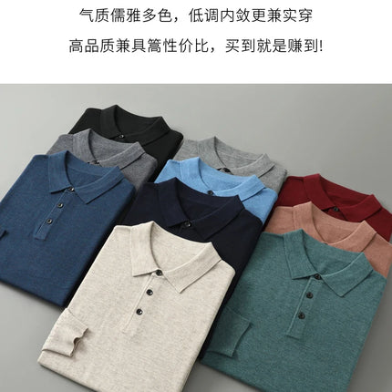 High quality worsted  spun collar wool sweater men's spring and autumn business polo sweater thin long sleeved knitted T-shirt