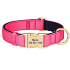 Pink / M