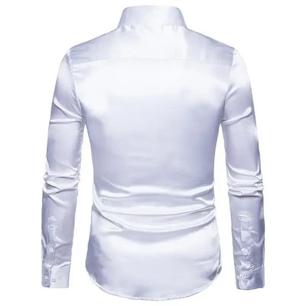Amazon Spring Autumn Men's Long Sleeve Shirt Casual Fashionable Shiny Interior Top Men's European Style Foreign Trade Shirt
