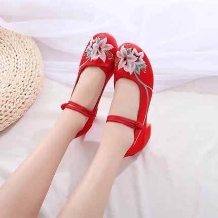 Shoes for Women Embroidery Ethnic Style Traditional Old Beijing Streetwear Dance Vintage Cheongsam Chinese Style Hanfu Qi Pao