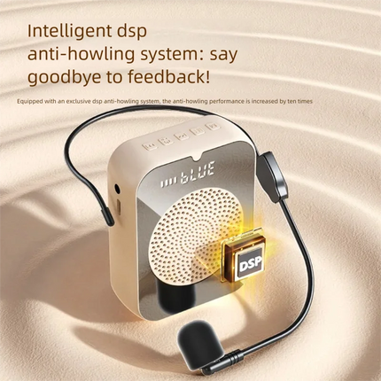 Portable wireless Bluetooth voice speaker microphone for teaching teachers, lecturers, tour guides, speakers