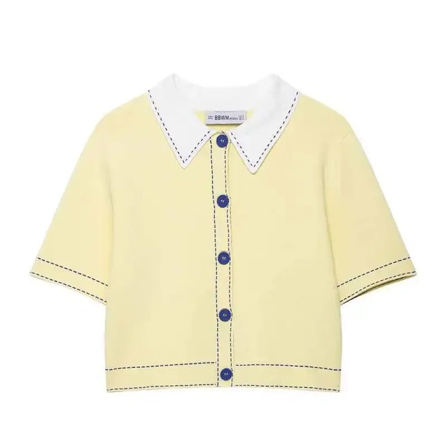 Autumn Knitted Casual Polo Neck Pullover Women's Fashion Outerwear Polyester Fiber Windproof Style New Arrival