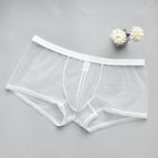 B905-Pink / S / 3pcs