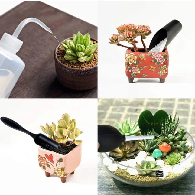 Mini Succulent Garden Tools Set / Outils Mini Plantes Succulentes