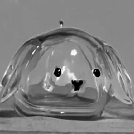 Transparent Acrylic Keychain Cat Hair Storage Capsule Animal Shaped Handmade Rabbit Hair Storage Box Portable Cute