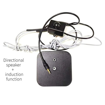 Directional Ultrasonic Speaker G-19 10-15° Narrow Beam Focused Sound for Museum Retail Bank Ceiling Wall Mount Audio System