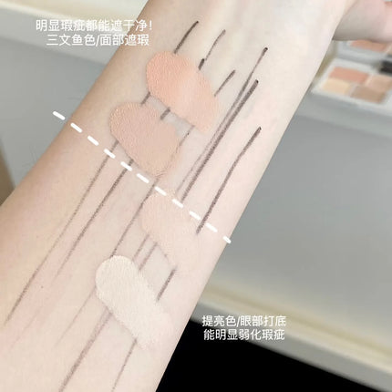 INSBAHA Face Concealer Cover Dark circles and Acne Brightening Tears Concealer Set Powder Makeup Combination