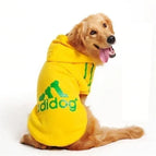 YELLOW / L(3-4.5KG dogs)