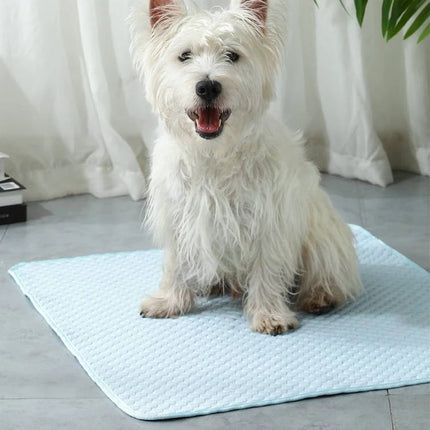 Cat Cooling Mat Summer Pet Dog Cold Ics Nest Breathable Bed For Small Dogs Pet Accessories Cat Durable Blanket Sofa Cat Ice Pad