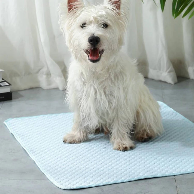 Cat Cooling Mat Summer Pet Dog Cold Ice Nest Breathable Bed for Small Dogs Pet Accessories Cat Durable Blanket Sofa Cat Ice Pad