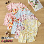 4pcs-ht-dttz-sj / 100