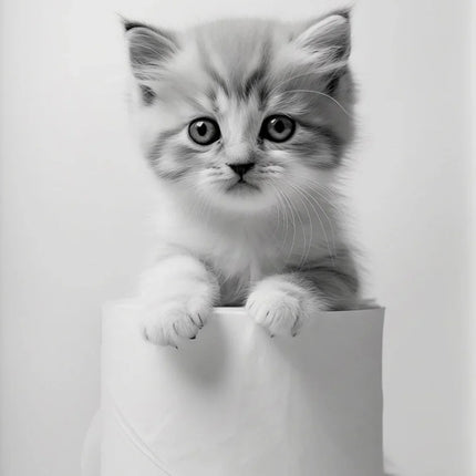 Black and White Cute Animal and Toilet Paper Poster Lion Owl Cat Dog Canvas Painting Wall Art Bathroom Living Room Home Decor