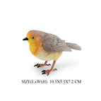 Robin -4