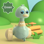 Green duck