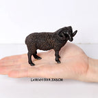 Black Sheep-2
