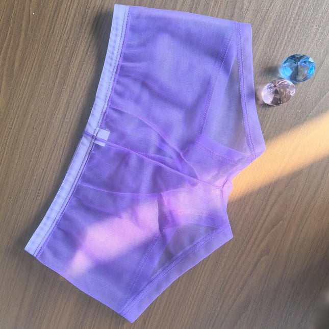 Transparent Mesh Men's Boxer Briefs - Breathable Ultra-Sexy Underwear Perfect for Casual Wear & Special Nights