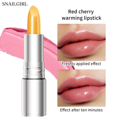 Temperature Color Changing Glitter Lipstick Waterproof Long Lasting Moisturizing Velvet Matte Lip Tint Red Pink Sexy Lips Makeup