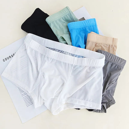 2pcs Solid Color Boxer Shorts Men Seamless Nylon Ice Silk Underwear U Pouch Male Panties Plus Size M-XXL