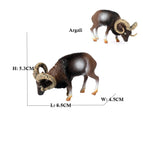 Argali