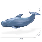 Ocean Animal-03