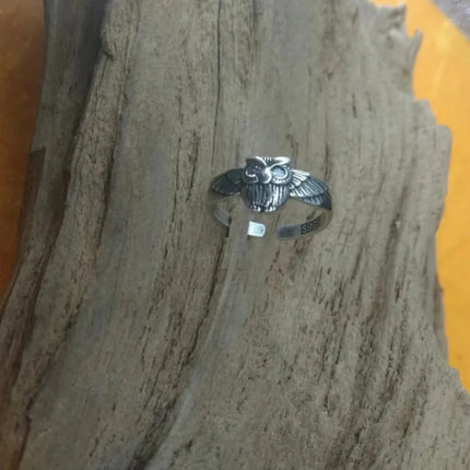 Buyee 925 Sterling Silver Fashion Ring Finger Elegant Owl Ring for Women Excellen Party Fine Jewelry Circle Gift with Box