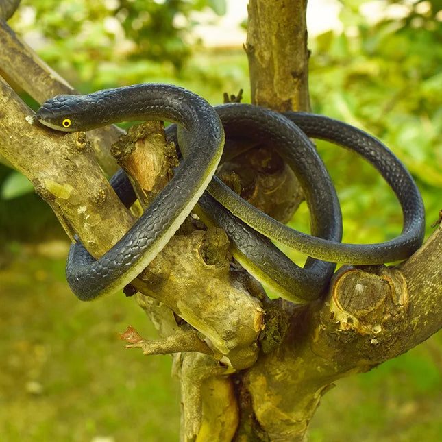 Soft Rubber Toy Snake Black Simulation Snake Realistic Halloween Garden Prank 80cm Prop Fake Snake Scary Intimidating Prank Toy
