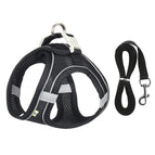 black / XXS 1.1-3.3 lbs