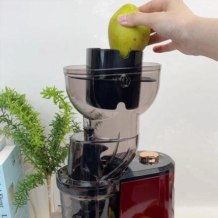 Household Slow Juicer Large Caliber Juice Extractor Pulp Separation Machine with Juice Cup