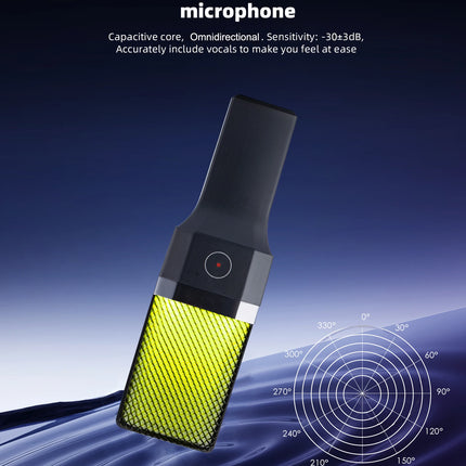 Gaming Computer Professional Condenser Microphone Mic PC Laptop USB Wired Live Streaming Podcast Studio Mike Kit Gamer Karaoke