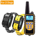 For 2 Dogs 1