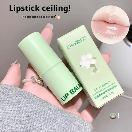 Grape Jasmine Flavors Moisturizing Hydrating Base Lip Balm Set Makeup Lip Care Daily Care Balm For Women and Men