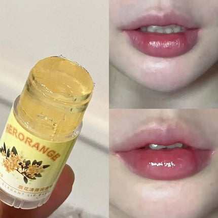 Moisturizing Lip Balm Natural Plant Hydrating Soothing Anti Dryness Anti Crack Multi Fruity Jelly Fresh Daily Lip Care