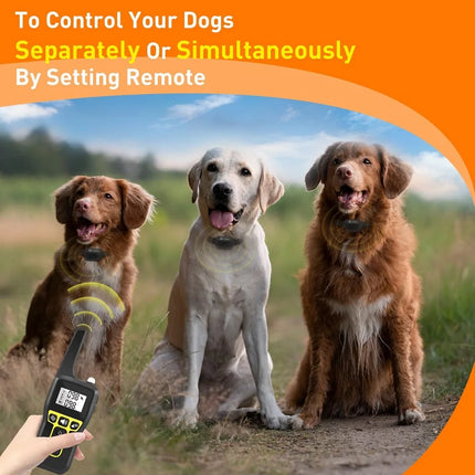 No Shock Vibration Dog Training Collar 1000M Remote Anti Bark Collar Rechargeable Waterproof  Vibration Collar for All Dogs