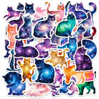 50PCS