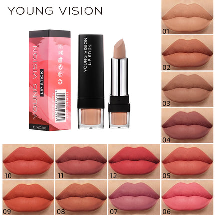 YOUNG VISION Matte Mist 12 Color Lipstick Velvet Non stick Cup Moisturizing Lipstick