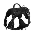 JY2500134-BK / M