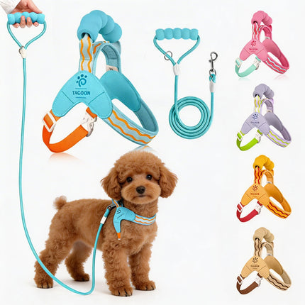 Dog Harness Leash Set Step-In No-Pull Easy Escape Proof Vest with Dual Leash Clips  for Puppy Small Medium  Dogs