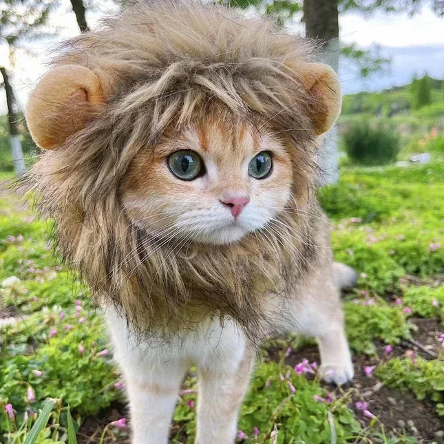 Cat Cosplay Dress Up Pet Hat Lion Mane for Cat Puppy Lion Wig Costume Party Decoration Halloween Christmas Gatos Pet Supplies