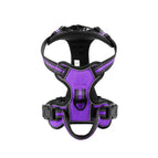Purple / XL