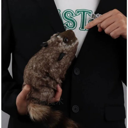 The Rocky Raccoon Robbie Magic Raccoon Tricks Props Comedy Mentalism Gimmick Spring Animal Appearing Stage Magic Funny Magia