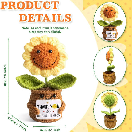 Positive Energy Pocket Hug Crochet Doll, Mini Handmade Knitted Plush Potato Turtle Vegetable Duck Funny Support Gift with Card
